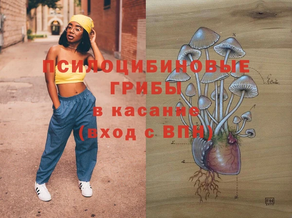 альфа пвп Каменногорск